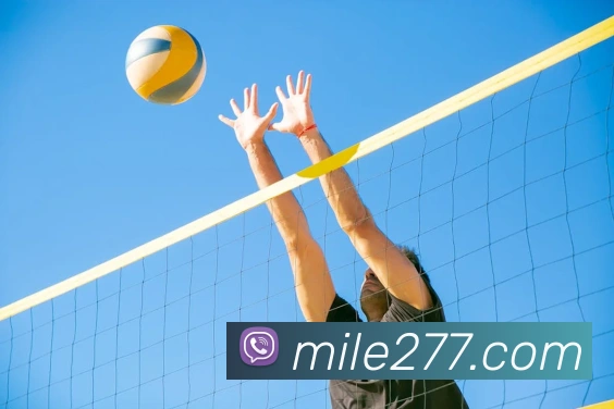 米乐mileAPP 高清赛事图